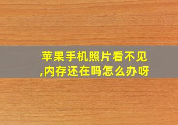 苹果手机照片看不见,内存还在吗怎么办呀