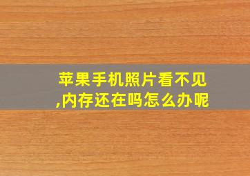 苹果手机照片看不见,内存还在吗怎么办呢