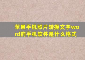 苹果手机照片转换文字word的手机软件是什么格式