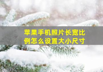 苹果手机照片长宽比例怎么设置大小尺寸