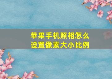 苹果手机照相怎么设置像素大小比例