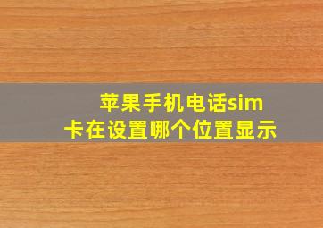 苹果手机电话sim卡在设置哪个位置显示