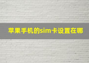 苹果手机的sim卡设置在哪