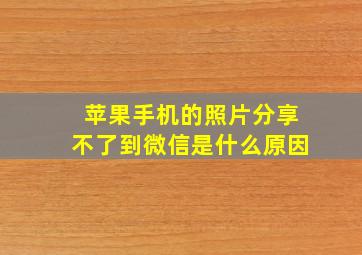 苹果手机的照片分享不了到微信是什么原因