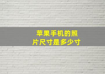 苹果手机的照片尺寸是多少寸