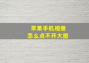 苹果手机相册怎么点不开大图