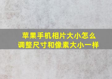 苹果手机相片大小怎么调整尺寸和像素大小一样