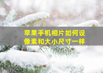 苹果手机相片如何设像素和大小尺寸一样