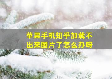 苹果手机知乎加载不出来图片了怎么办呀