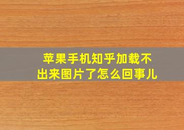 苹果手机知乎加载不出来图片了怎么回事儿