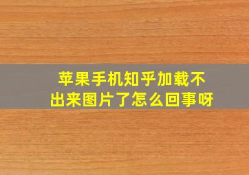 苹果手机知乎加载不出来图片了怎么回事呀