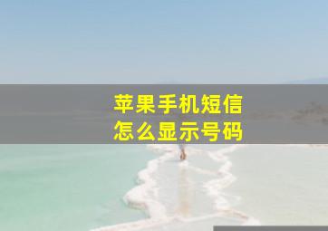 苹果手机短信怎么显示号码