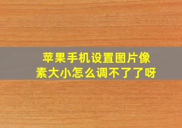 苹果手机设置图片像素大小怎么调不了了呀