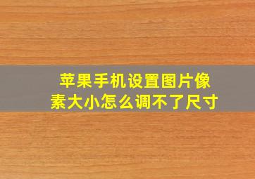 苹果手机设置图片像素大小怎么调不了尺寸