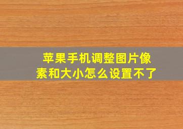 苹果手机调整图片像素和大小怎么设置不了