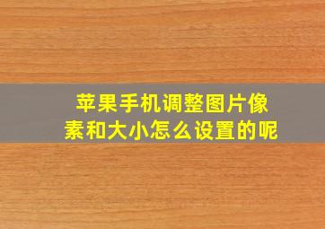 苹果手机调整图片像素和大小怎么设置的呢