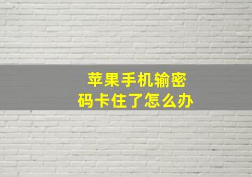 苹果手机输密码卡住了怎么办