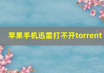 苹果手机迅雷打不开torrent