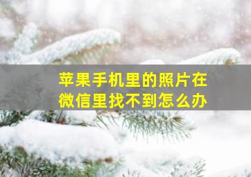 苹果手机里的照片在微信里找不到怎么办