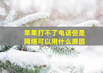 苹果打不了电话但是网络可以用什么原因