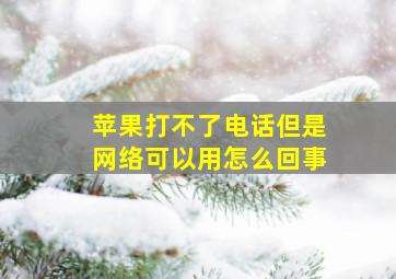 苹果打不了电话但是网络可以用怎么回事