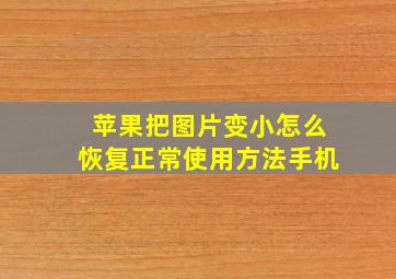 苹果把图片变小怎么恢复正常使用方法手机