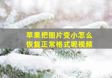 苹果把图片变小怎么恢复正常格式呢视频