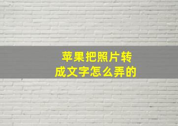 苹果把照片转成文字怎么弄的