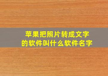 苹果把照片转成文字的软件叫什么软件名字