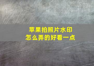 苹果拍照片水印怎么弄的好看一点