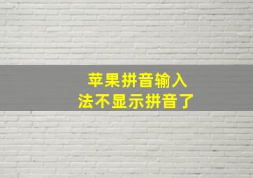 苹果拼音输入法不显示拼音了