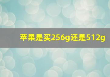 苹果是买256g还是512g