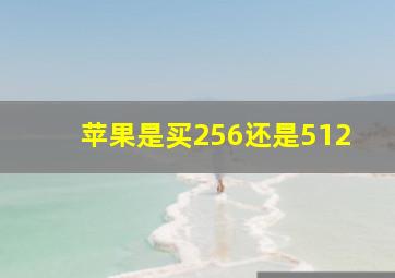 苹果是买256还是512