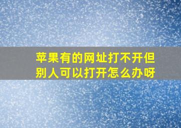 苹果有的网址打不开但别人可以打开怎么办呀