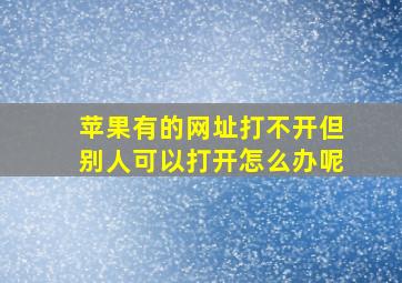 苹果有的网址打不开但别人可以打开怎么办呢