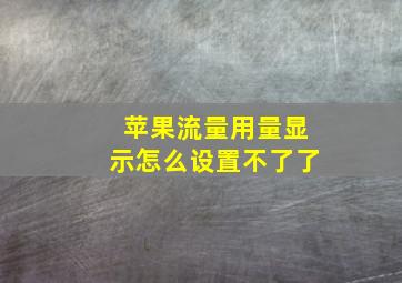 苹果流量用量显示怎么设置不了了