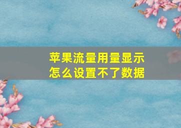 苹果流量用量显示怎么设置不了数据