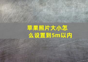 苹果照片大小怎么设置到5m以内