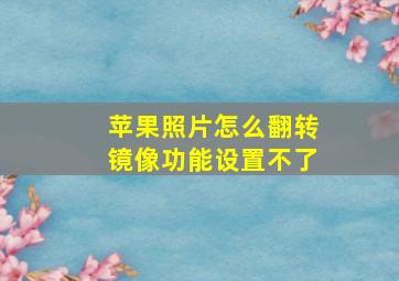 苹果照片怎么翻转镜像功能设置不了