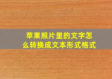 苹果照片里的文字怎么转换成文本形式格式