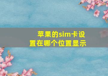 苹果的sim卡设置在哪个位置显示