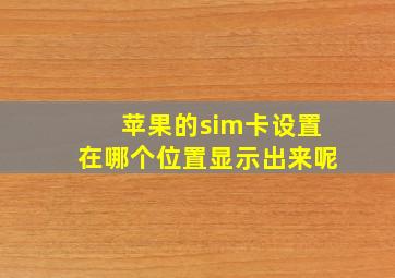 苹果的sim卡设置在哪个位置显示出来呢