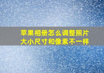 苹果相册怎么调整照片大小尺寸和像素不一样