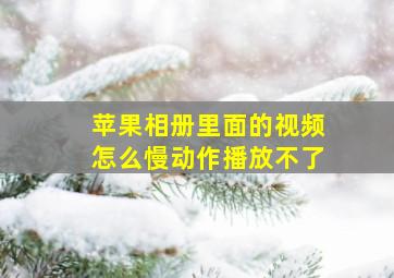 苹果相册里面的视频怎么慢动作播放不了