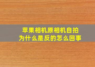 苹果相机原相机自拍为什么是反的怎么回事