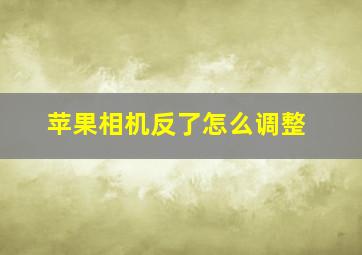 苹果相机反了怎么调整