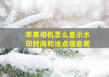 苹果相机怎么显示水印时间和地点信息呢