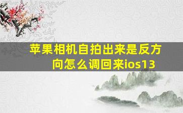 苹果相机自拍出来是反方向怎么调回来ios13