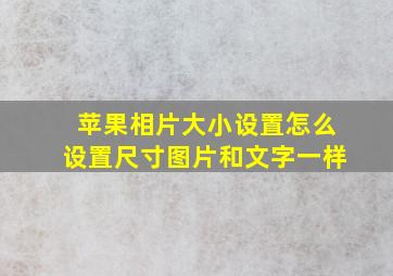 苹果相片大小设置怎么设置尺寸图片和文字一样