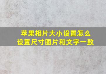 苹果相片大小设置怎么设置尺寸图片和文字一致